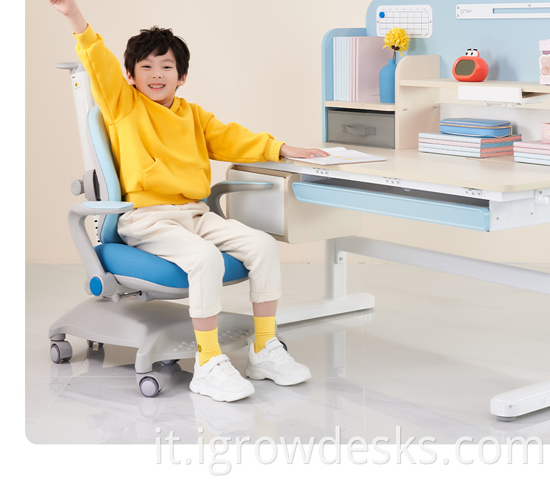 ergonomic office chair lumbar support